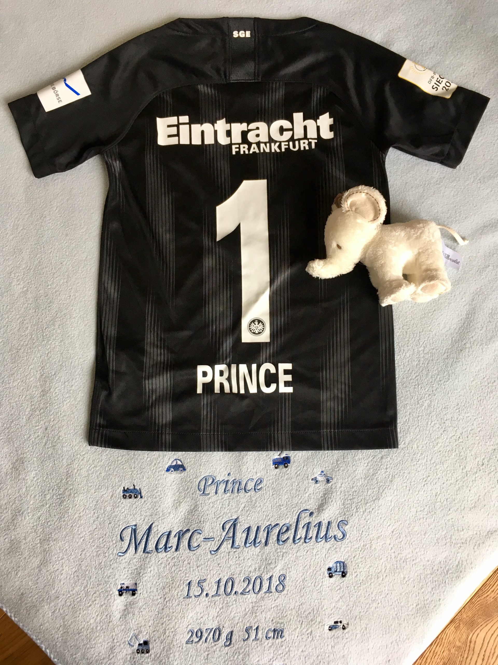 PRINCE ON TOUR 